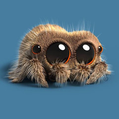 العنكبوت النونو new style