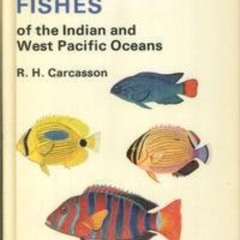 View EPUB 📔 A Field Guide to the Coral Reef Fishes of the Indian and Western Pacific