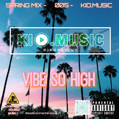 Vibe So High