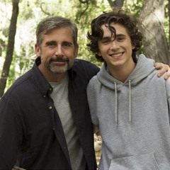 Beautiful Boy Steve Carell