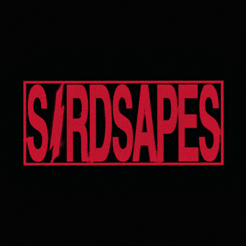 SIRDSAPES – 'DJ SETS'