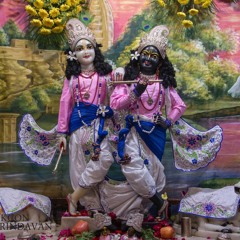 Gour Krishna Prabhu 15.11.19 SPH