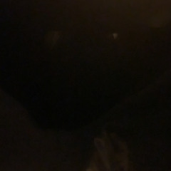 AREWECOOL(ProdZOEUP)