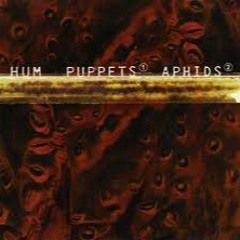 Hum - Aphids