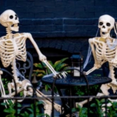Spooky Scary Skeletons