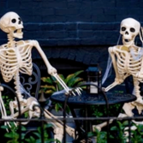 Spooky Scary Skeletons