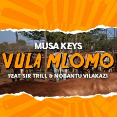 MUSA KEYS - VULA MLOMO (MICK-A-L REMIX)