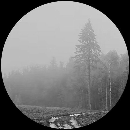 Stream SJS Winter 2024 by SJS Listen online for free on SoundCloud