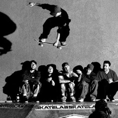 skate prk (p.ronny j)