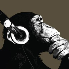 Amoi Segma Uns Wider REMIX2