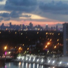 Miami Nights
