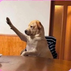 Because I’m stupid Rock - TMTGuitar.mp3