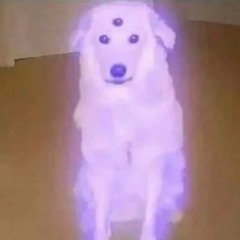 Techno Bootleg Set at Radford Farm