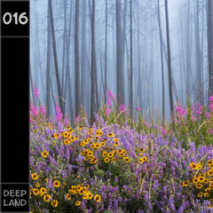 Deep Land - Maru (Set 016)