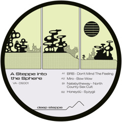 Various Artists - A Steppe Into The Sphere // DS001