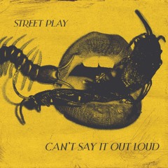 Can't Say It out Loud