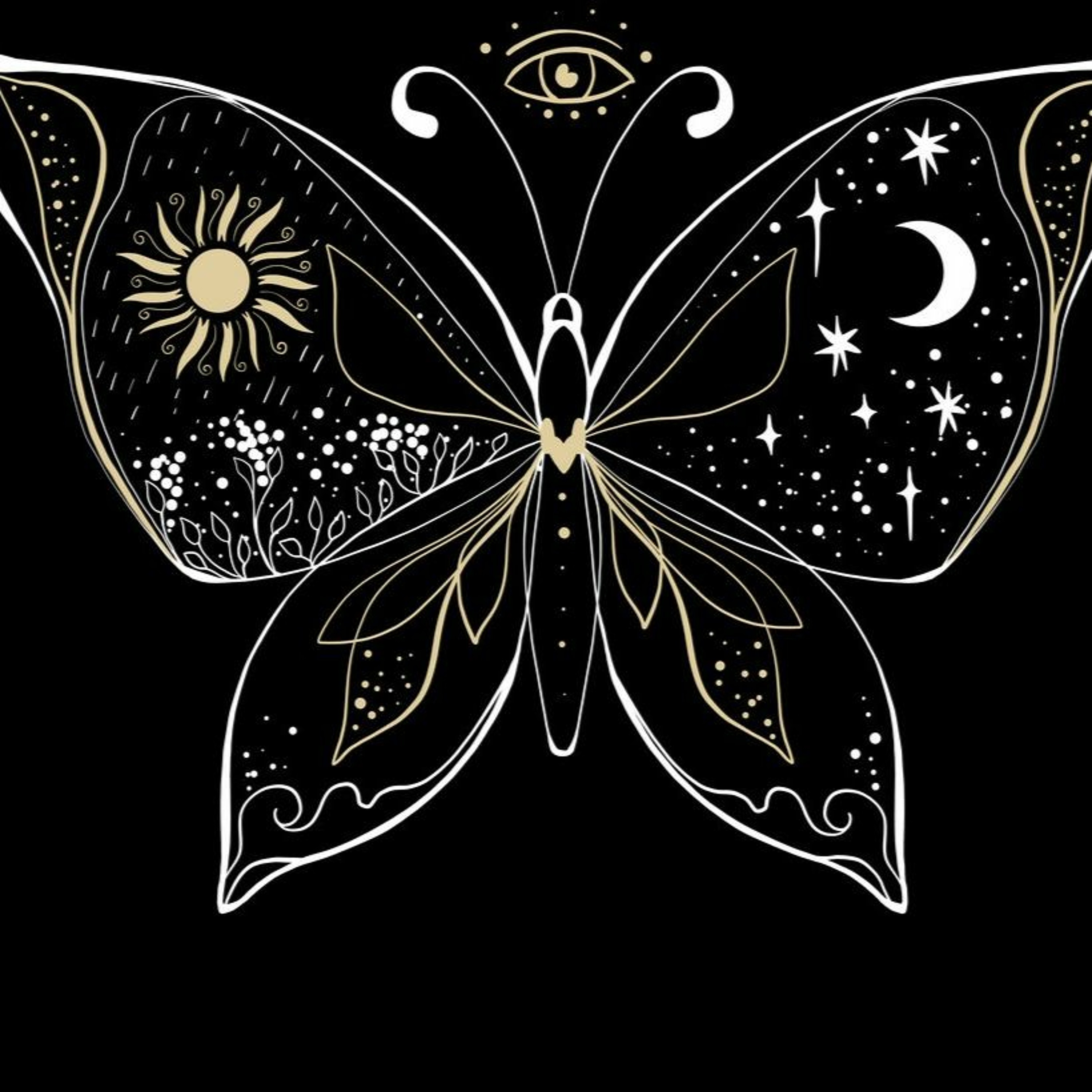 My Butterfly episode artwork