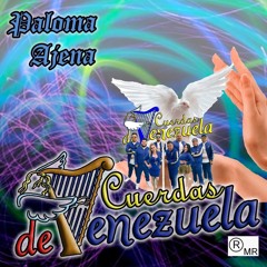 Paloma Ajena 2k22 LiMPiA ➫ Grupo Cuerdas De Venezuela