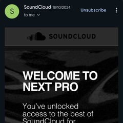 Artist Pro Feedback Year 1