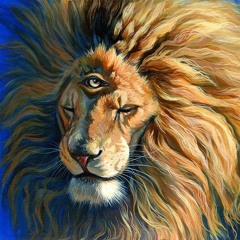 Dream Scheme (Tribe of Judah Edition)