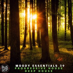 Moody Essentials 59 ~ #ProgressiveHouse #DeepHouse Mix