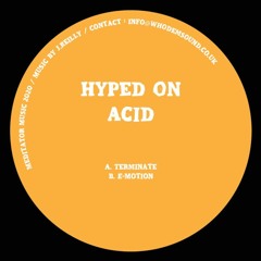 Hyped On Acid - Terminate (MEDITATOR018)
