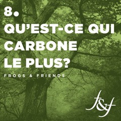 Qu'est-ce qui carbone le plus ?