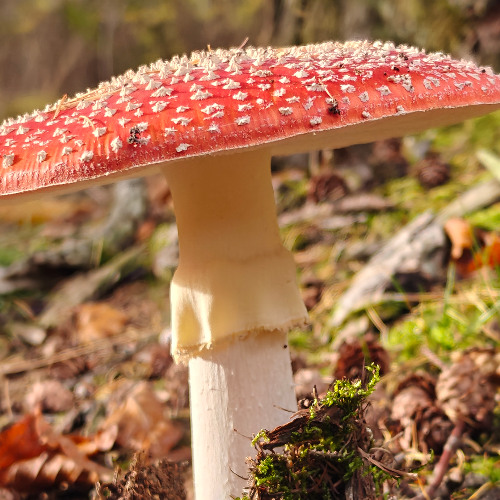 Deep Resonance – Hypnotic Chill Techno