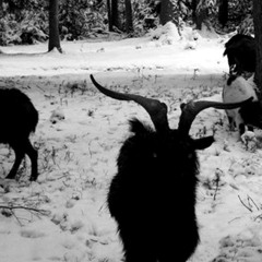 early mornin (prod. aotb)