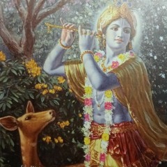 Livro de Krishna/ Krishna Book - Swami Prabhupada