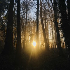 Ambient Electronic Lovelies vol.6