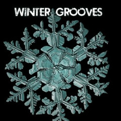 ❄️Winter Grooves 2024 Mixed By Garçon Funk