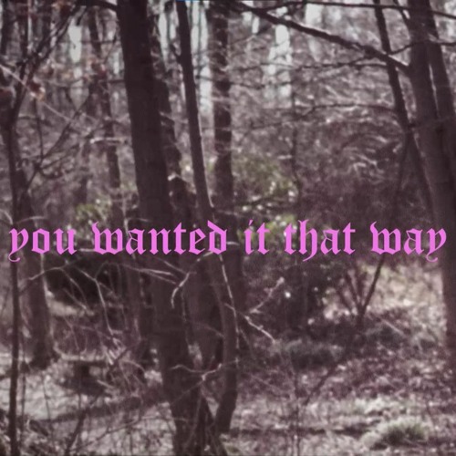 you wanted it that way (iof)
