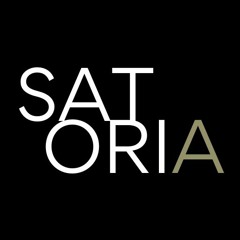 Satoria - Demand Generation B2B Software company, Texas USA