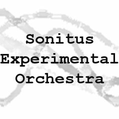 Sonitus Esperimental Orchestra track 2