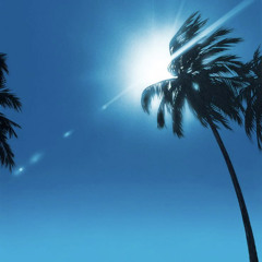 Blue Sunshine Mix