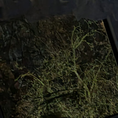 𝓽 𝓪 𝓴 𝓮‎ ‎ ‎ 𝓪‎ ‎ ‎ 𝓶 𝓸 𝓶 𝓮 𝓷 𝓽