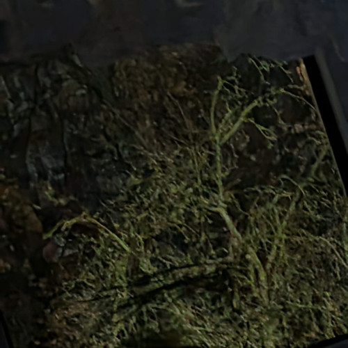 𝓽 𝓪 𝓴 𝓮‎ ‎ ‎ 𝓪‎ ‎ ‎ 𝓶 𝓸 𝓶 𝓮 𝓷 𝓽