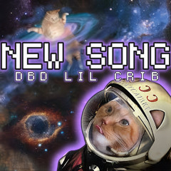 NEW SONG-DBD LIL CRIB
