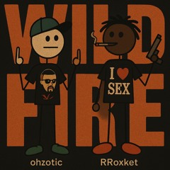 Ohzotic - wild fire ft. RRoxket