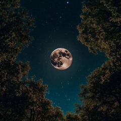 ناسي حبي 🥺