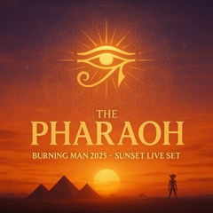 BURNING MAN 2025 Live Dj Set - Sunset Magic Set
