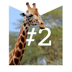 Totally Sust #2 - AI In Nature [EDIT]