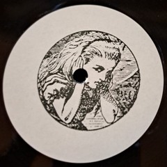 MNT - Assassin (Out On Disturbo Vinyl Resistance Series)