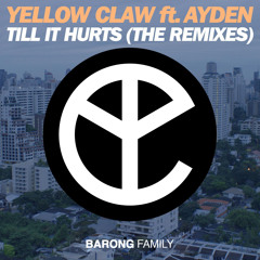 Till It Hurts (Mr. Belt & Wezol Remix) [feat. Ayden]