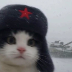 L$ Beats – Meow (Original Phonk)