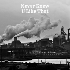 Never Knew U Like That