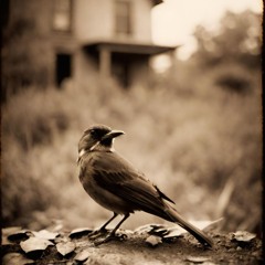 (I Can't) Go Back【feat. ANRI Lite】