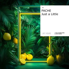 PACHE - Just A Little (Extended Mix)