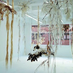 SYMBIOSIUM_Audioguide : Luca Vanello - Les cavités inaperçues protègent, [...]